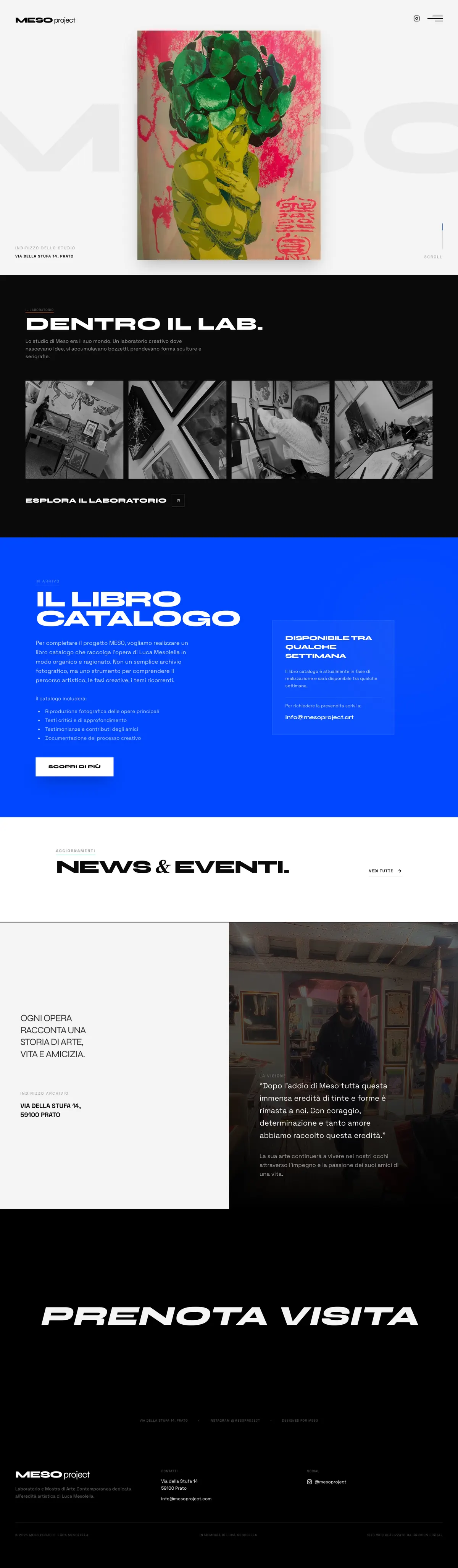Anteprima del sito Meso Project